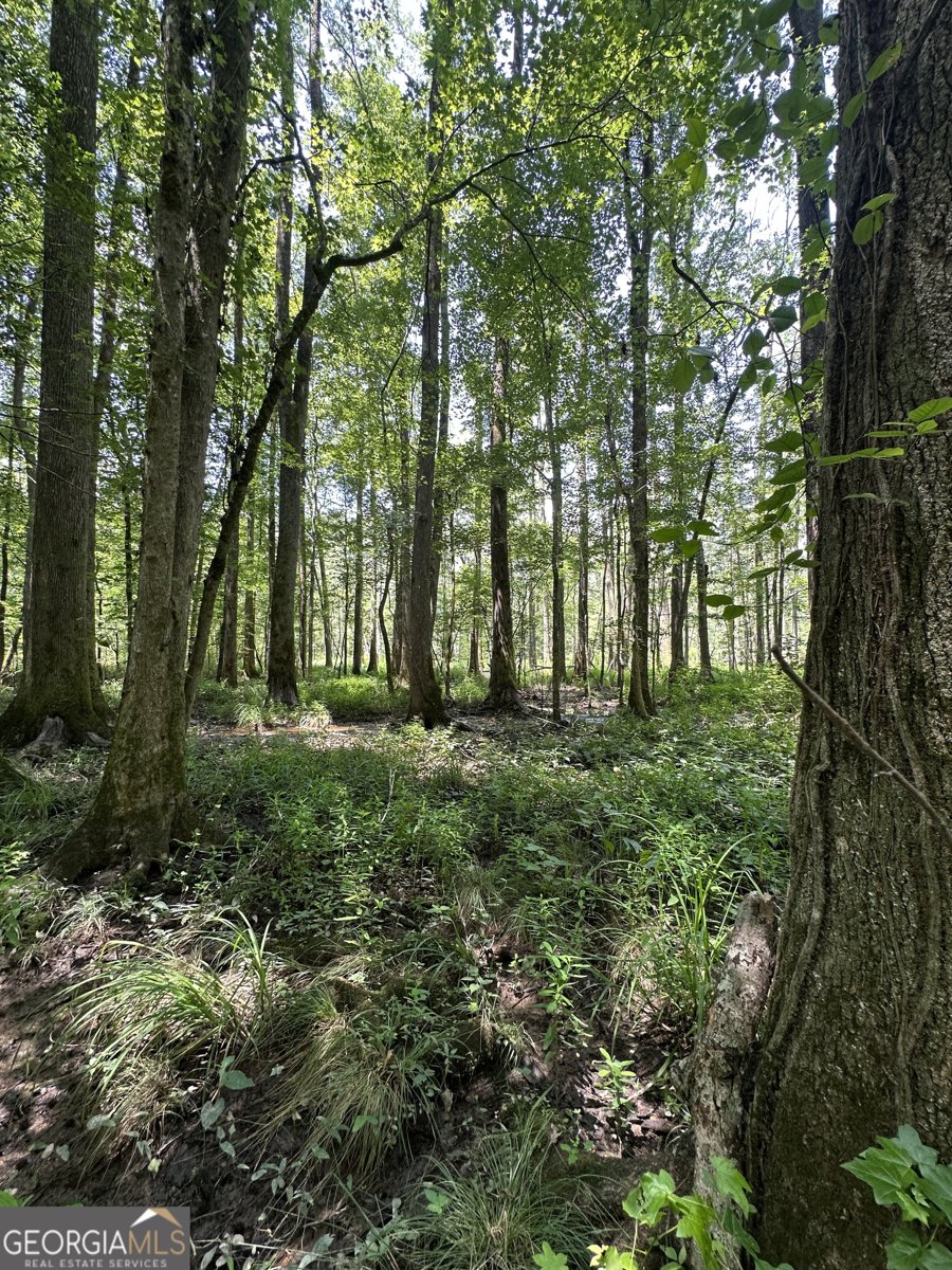 1455 Fred Hall Road Gordon - 25