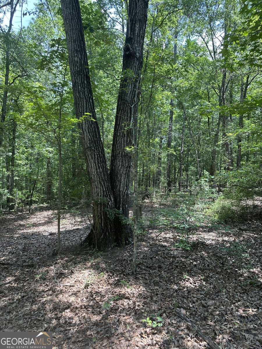 1455 Fred Hall Road Gordon - 26