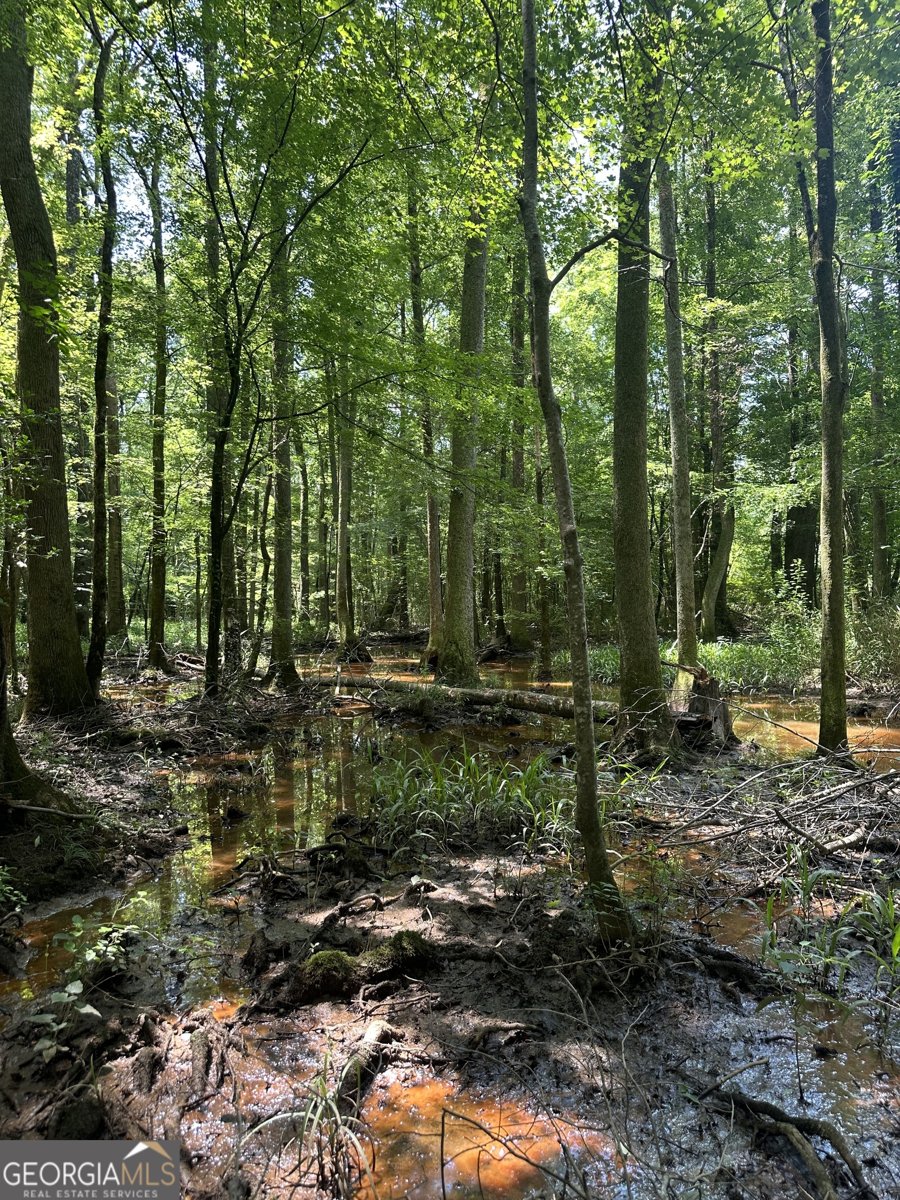 1455 Fred Hall Road Gordon - 27