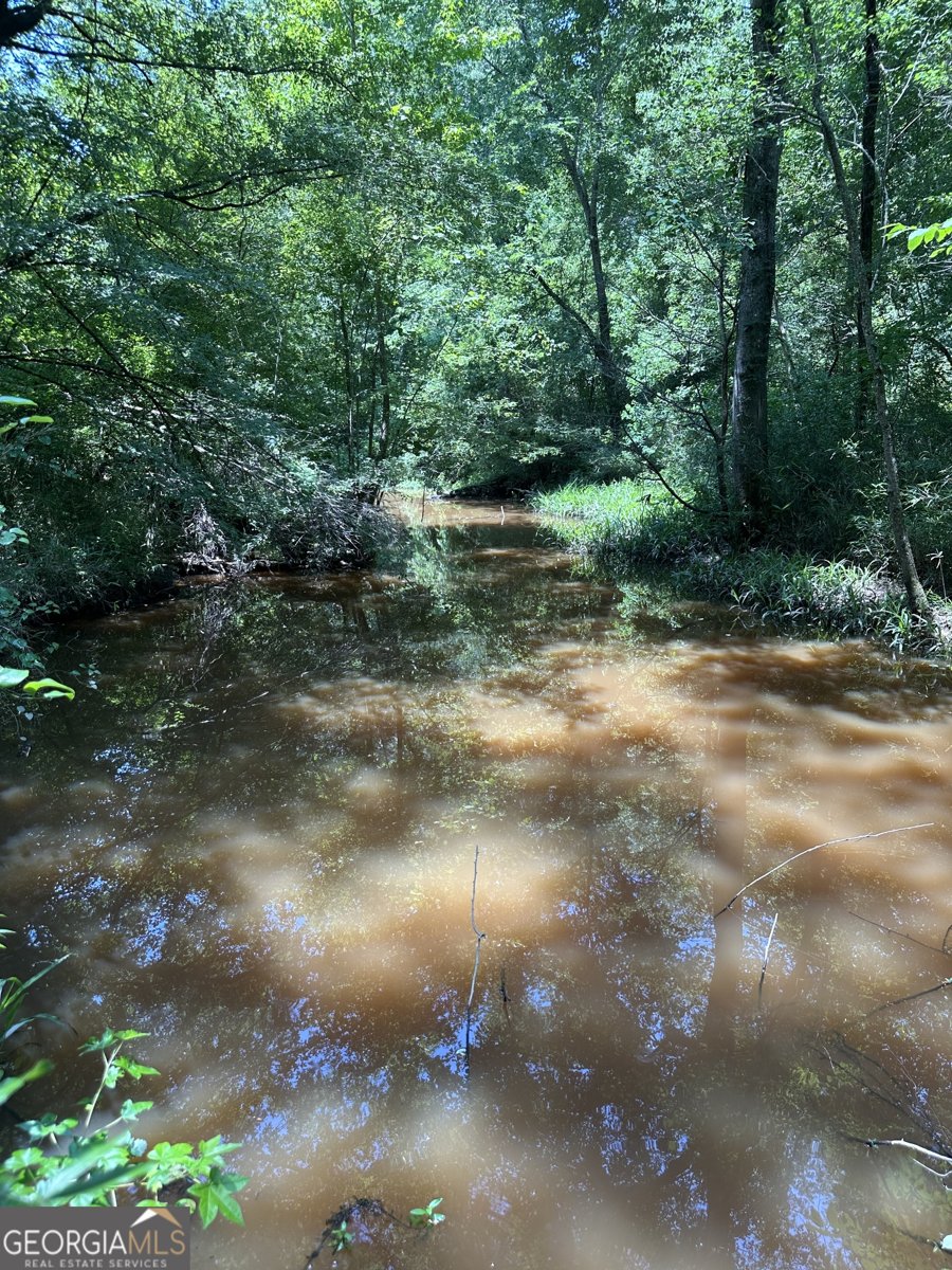 1455 Fred Hall Road Gordon - 28