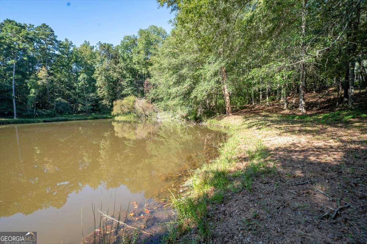 2190 Simonton Bridge Road Watkinsville - 38