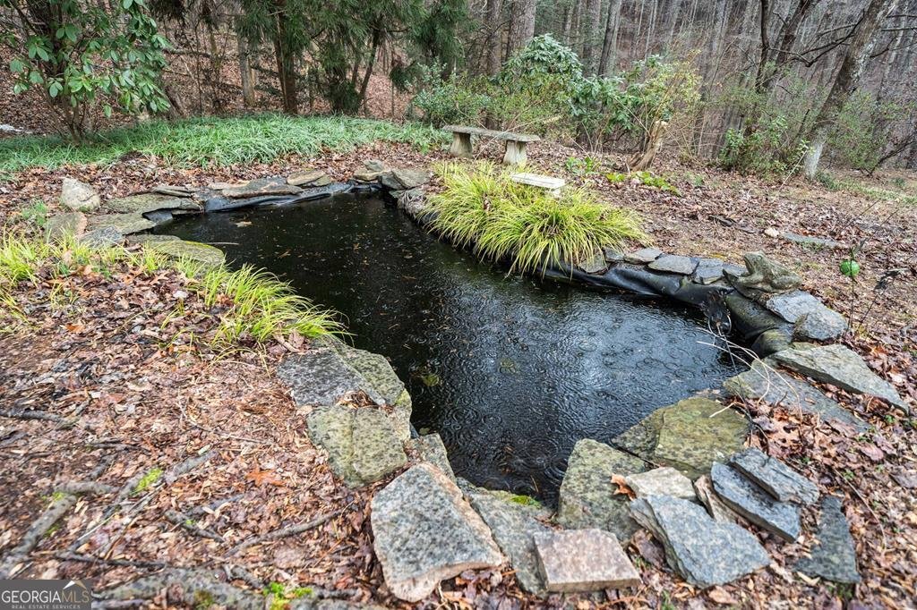 2704 Lebanon Road Epworth - 34