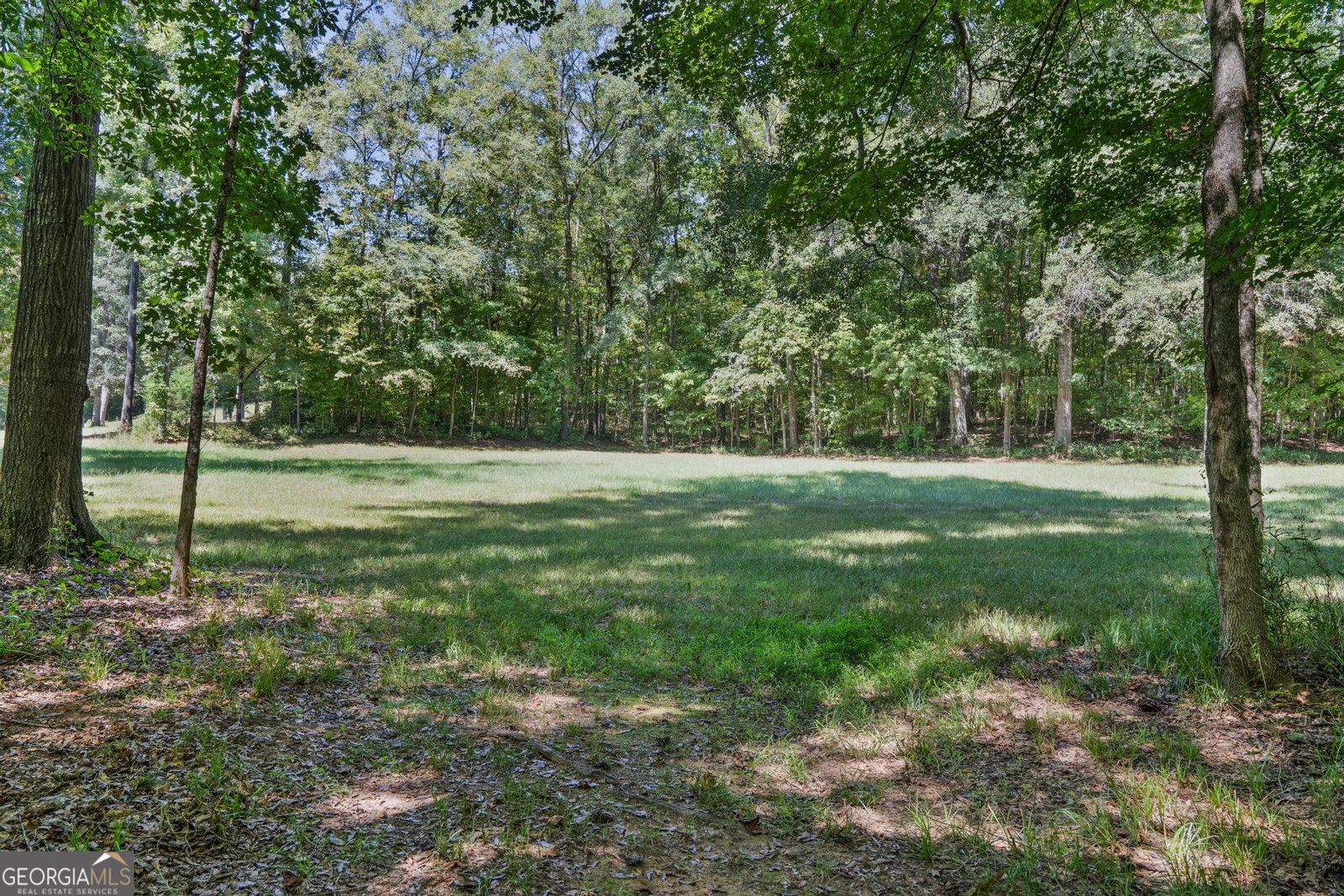 369 Abares Road Forsyth - 49