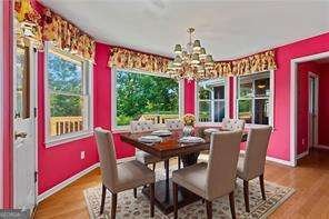 300 Sweet Apple Lane Dahlonega - 8