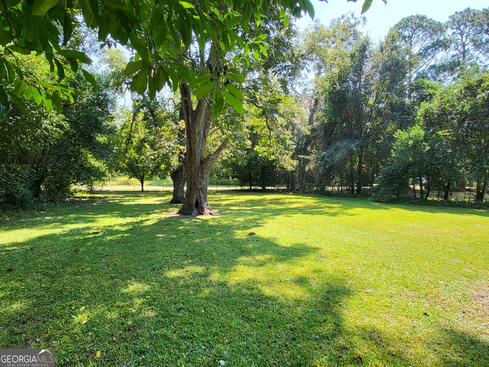 210 Parker Avenue Brooklet - 1