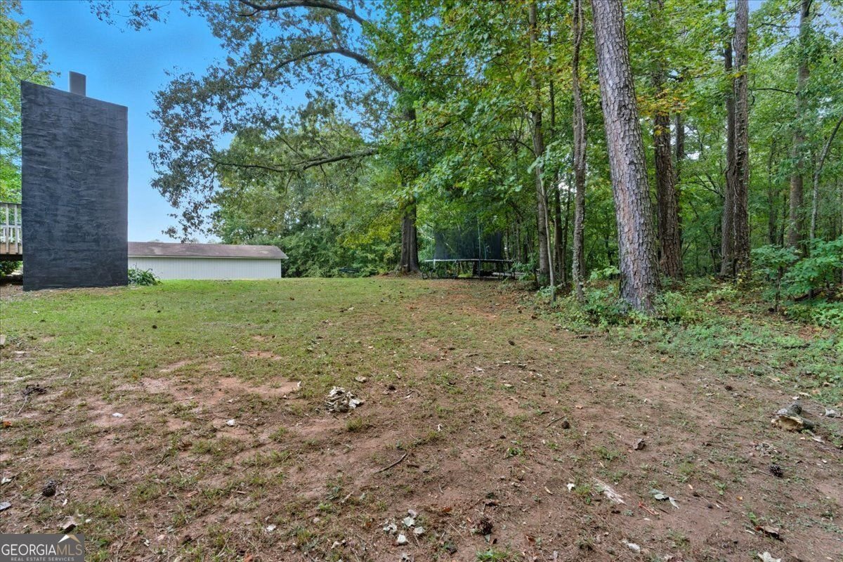 6894 Villa Rica Highway Dallas - 37