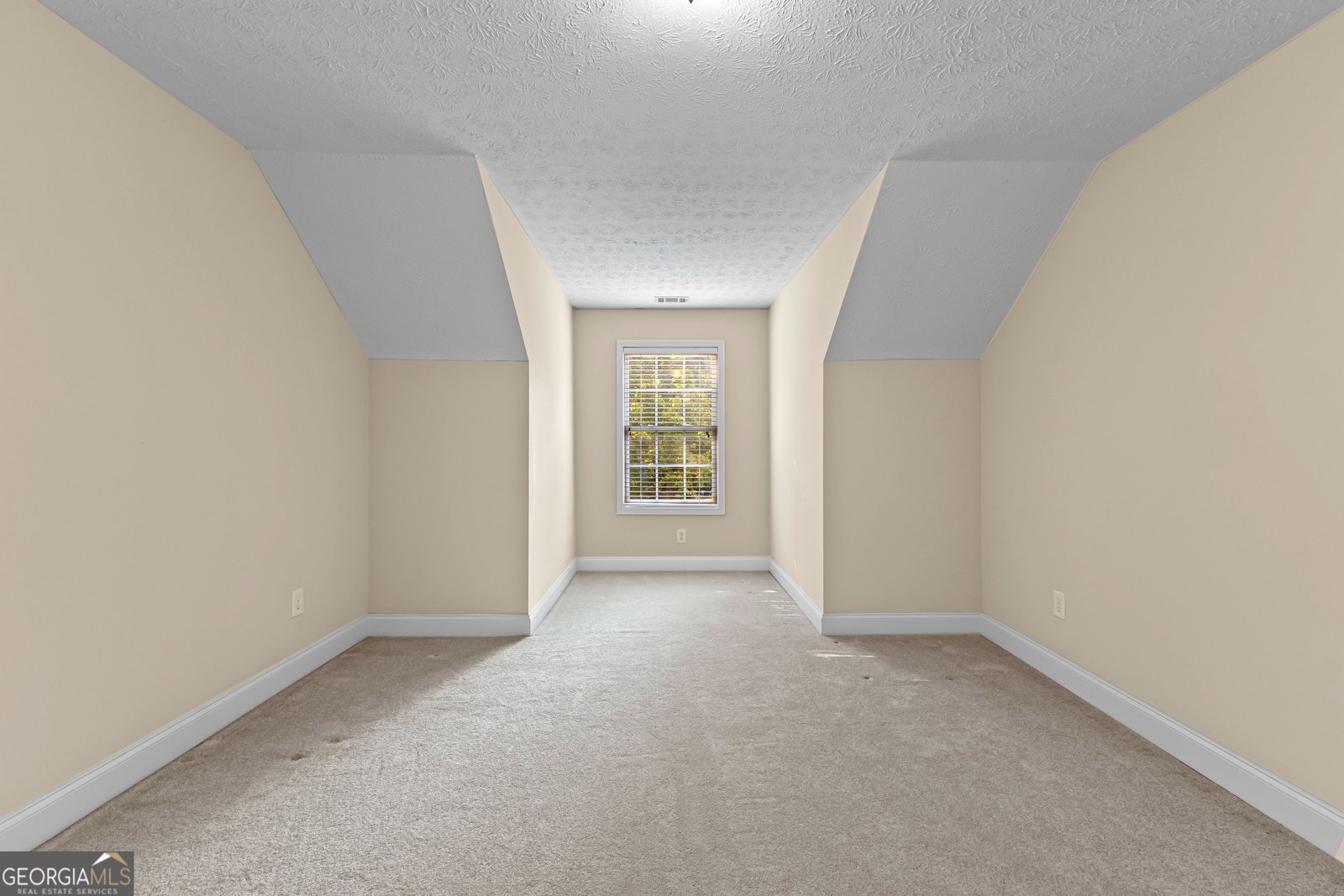107 Cameron Pointe Drive Lagrange - 41