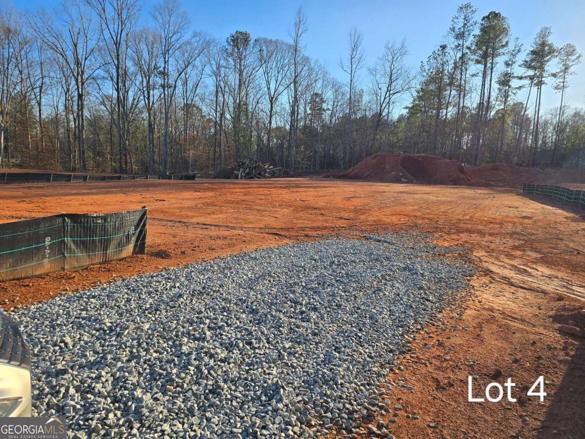 LOT 4 County Line Road Mansfield - 3
