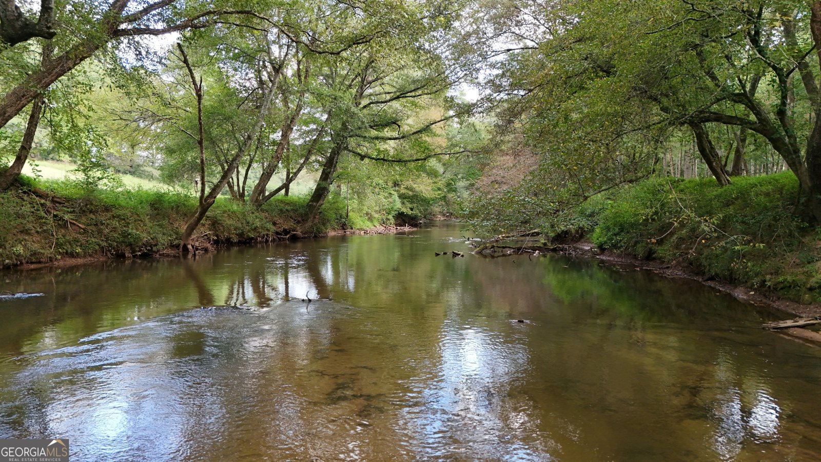 264 River Fields Drive Clarkesville - 87