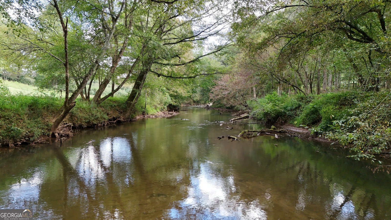 264 River Fields Drive Clarkesville - 95