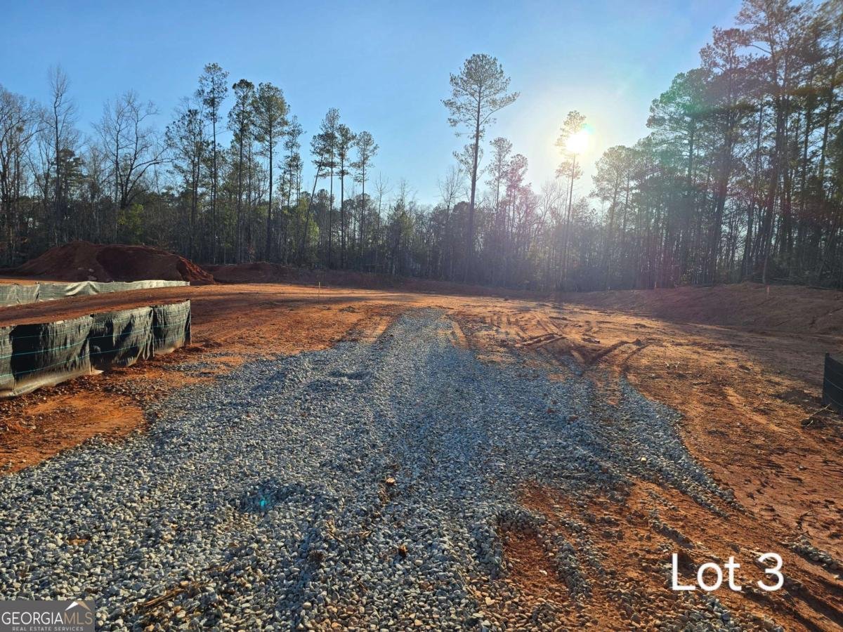 LOT 3 County Line Road Mansfield - 2