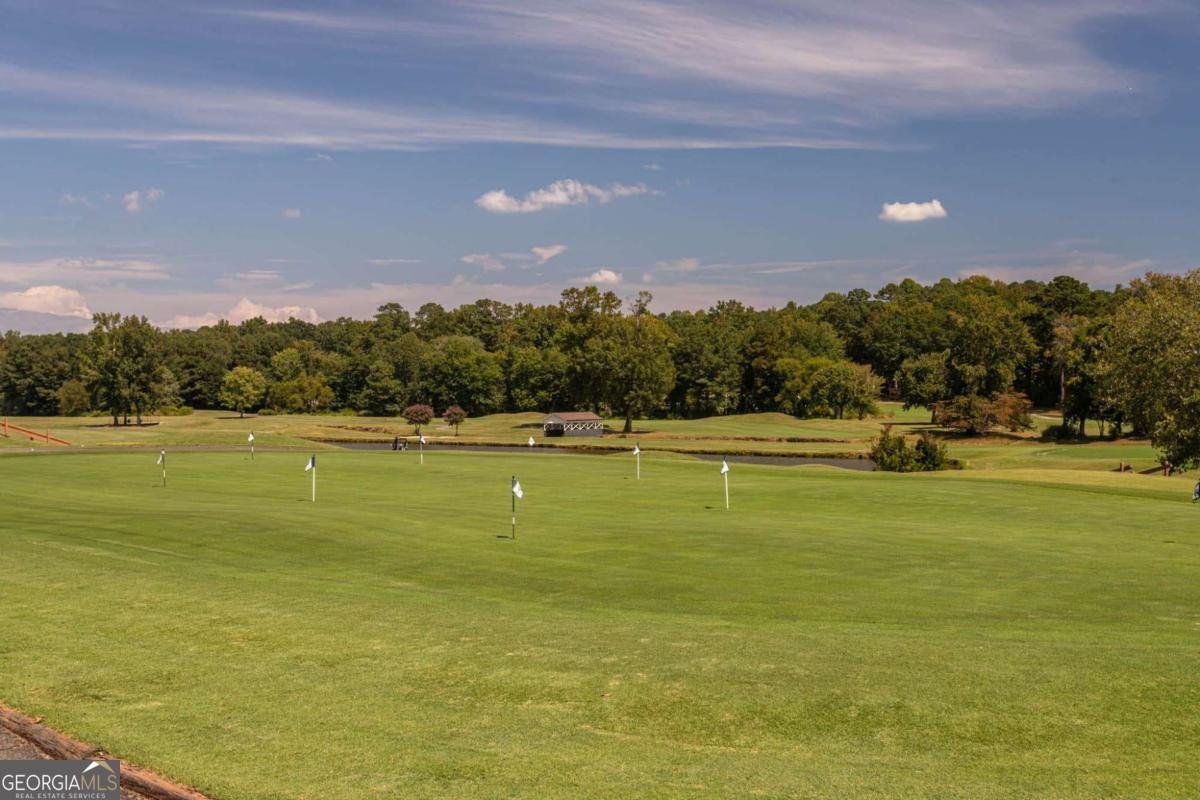 8010 Wakehurst Place Cumming - 73