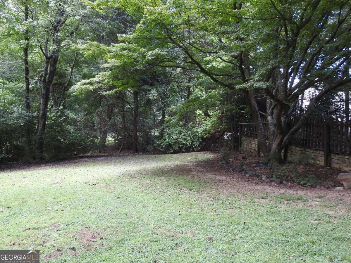3487 Samantha Drive Buford - 23