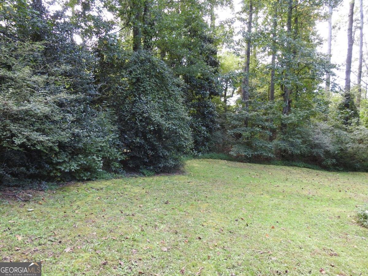 3487 Samantha Drive Buford - 25