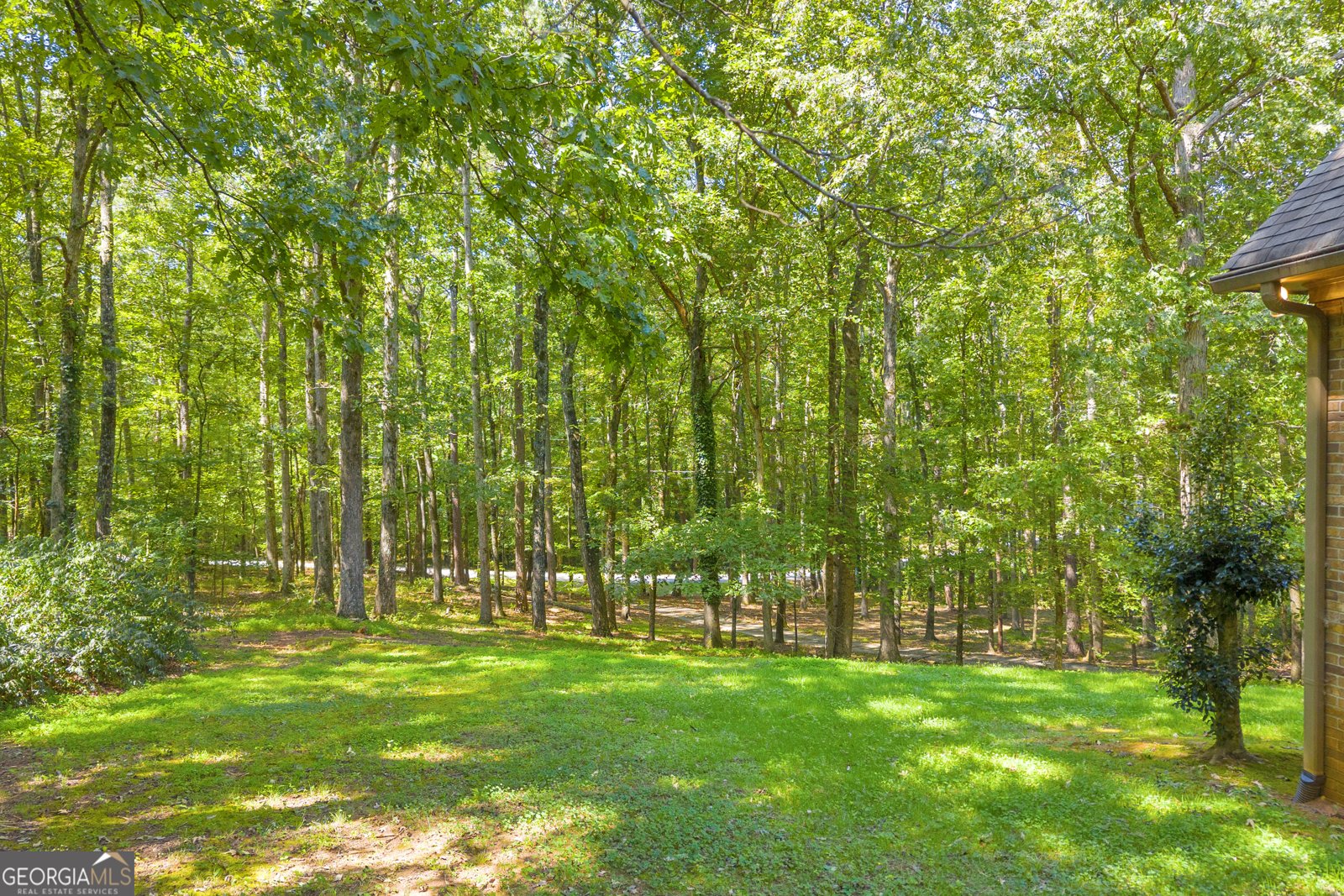 2924 Glad Dale Drive Conyers - 2