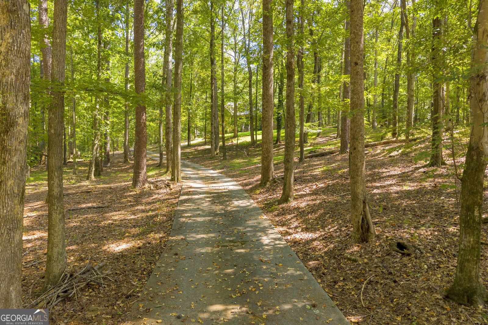 2924 Glad Dale Drive Conyers - 4