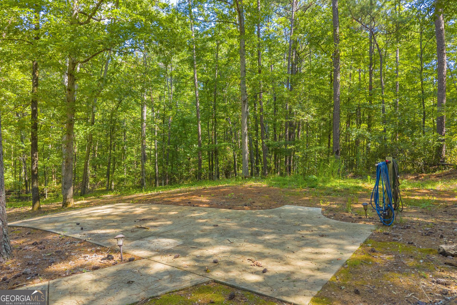 2924 Glad Dale Drive Conyers - 61