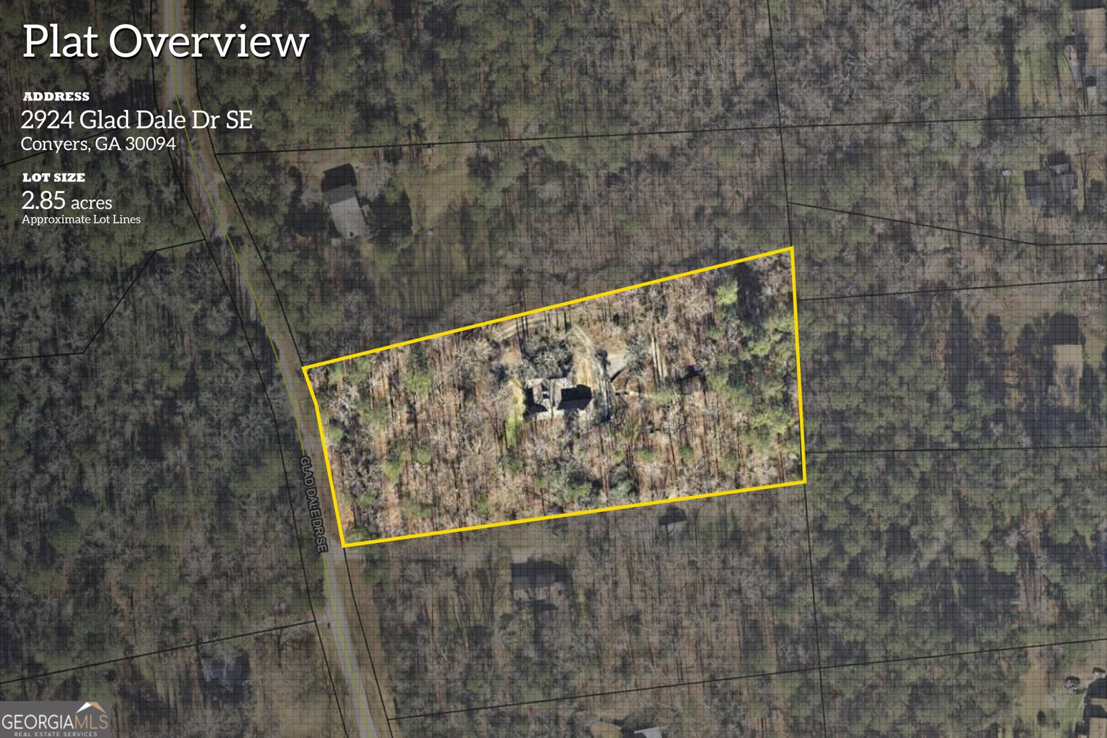 2924 Glad Dale Drive Conyers - 66