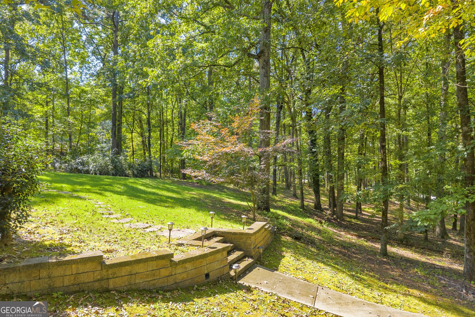 2924 Glad Dale Drive Conyers - 8
