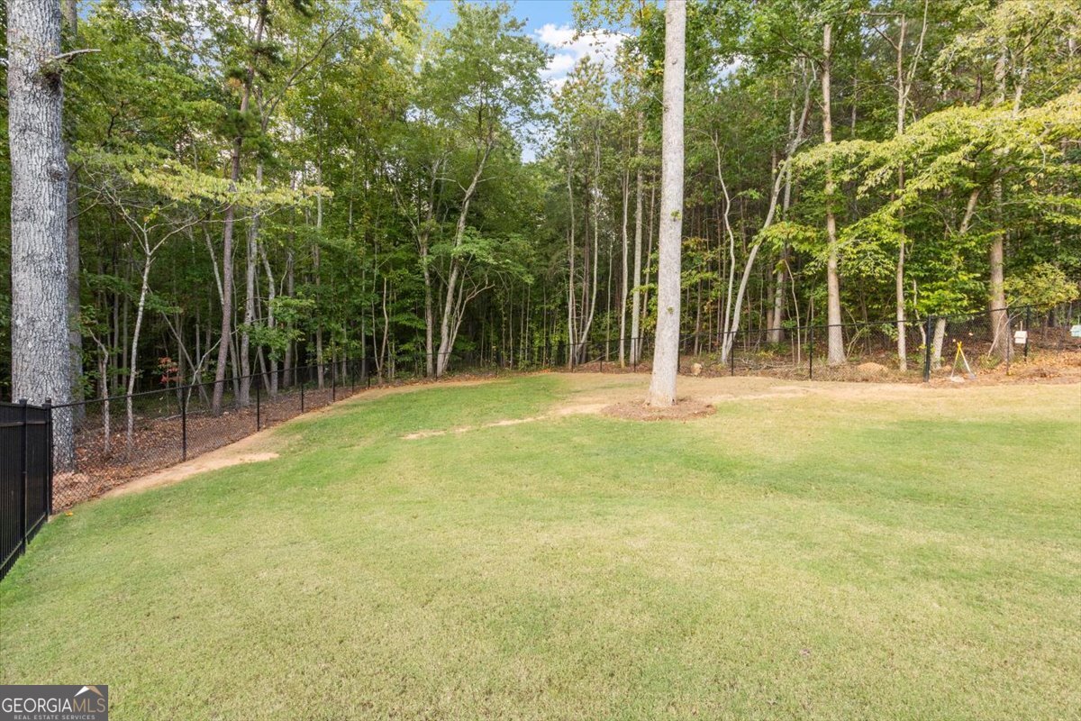 540 Byrd Mountain Lane Canton - 38