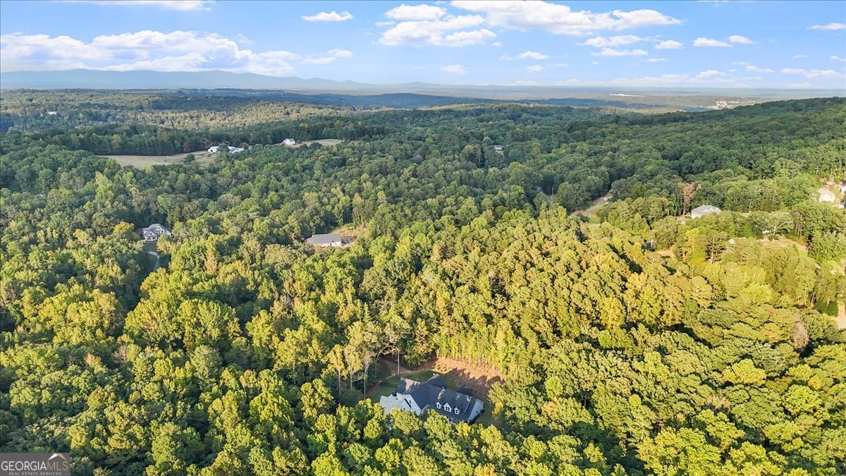 540 Byrd Mountain Lane Canton - 42