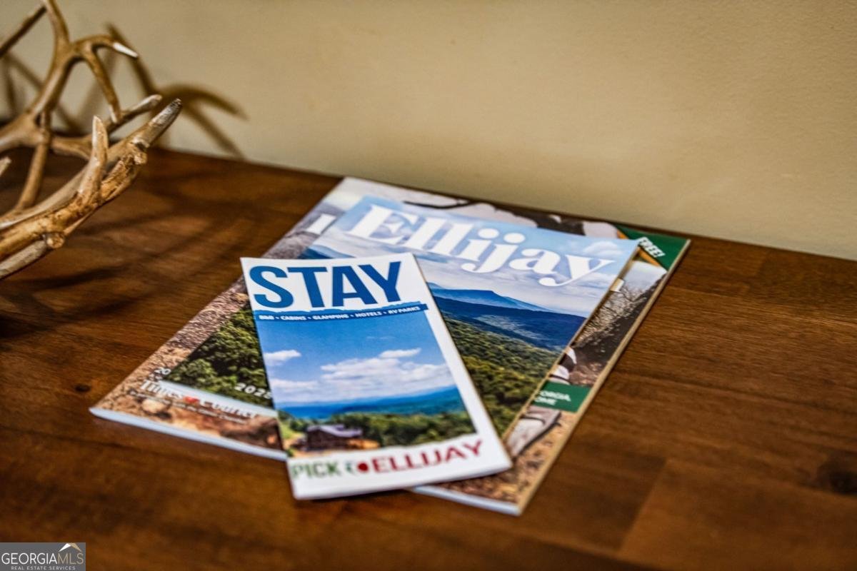 842 Craigtown Road Ellijay - 61