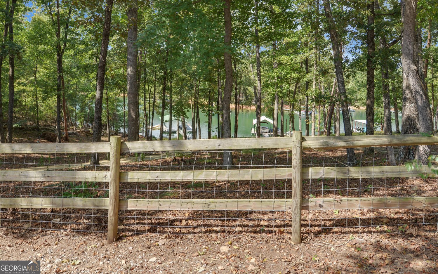 1047 Tranquility Lane Hartwell - 22