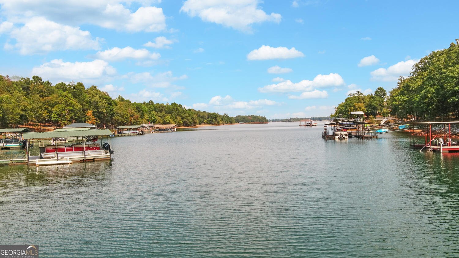 1047 Tranquility Lane Hartwell - 27