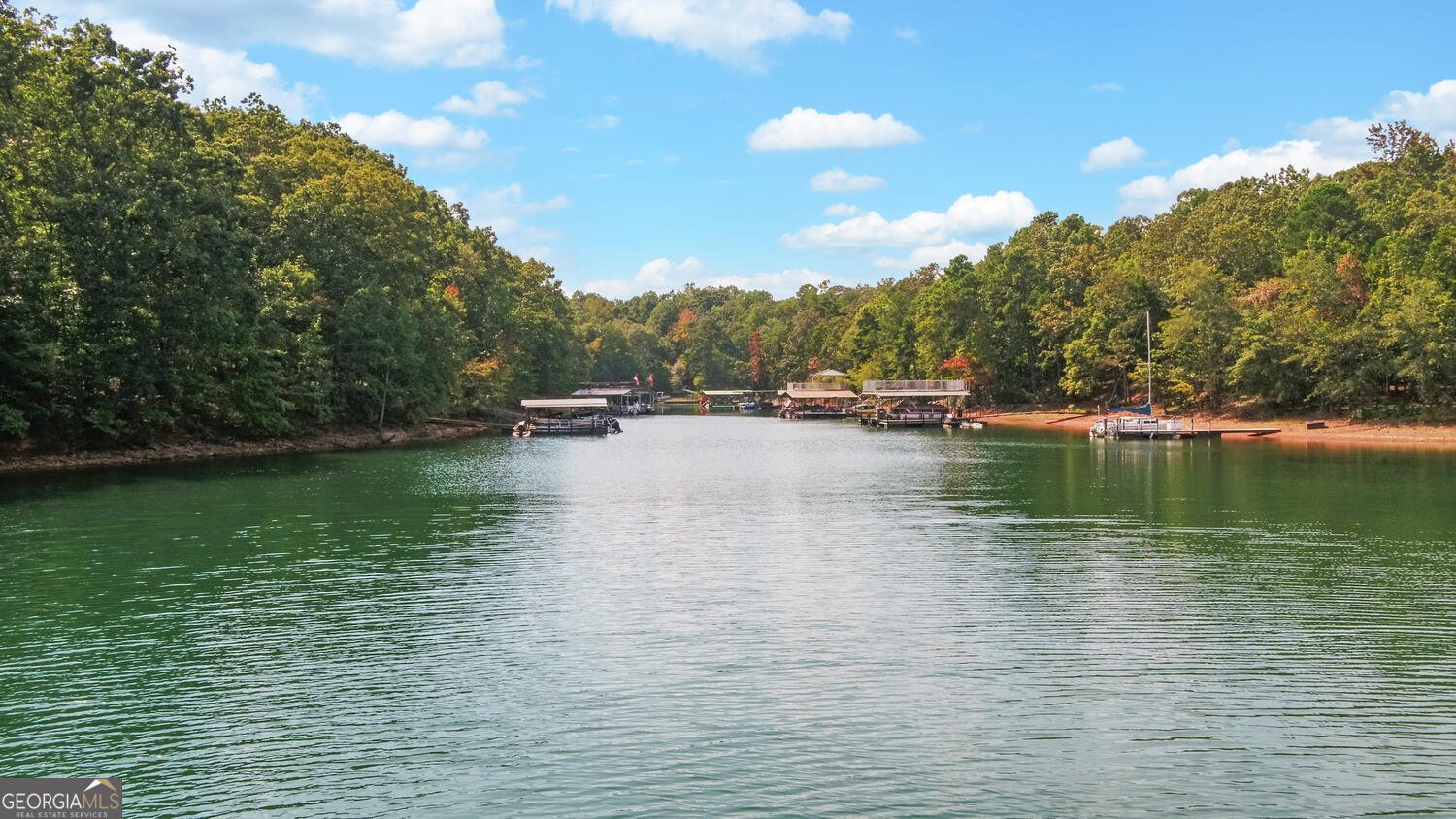 1047 Tranquility Lane Hartwell - 29