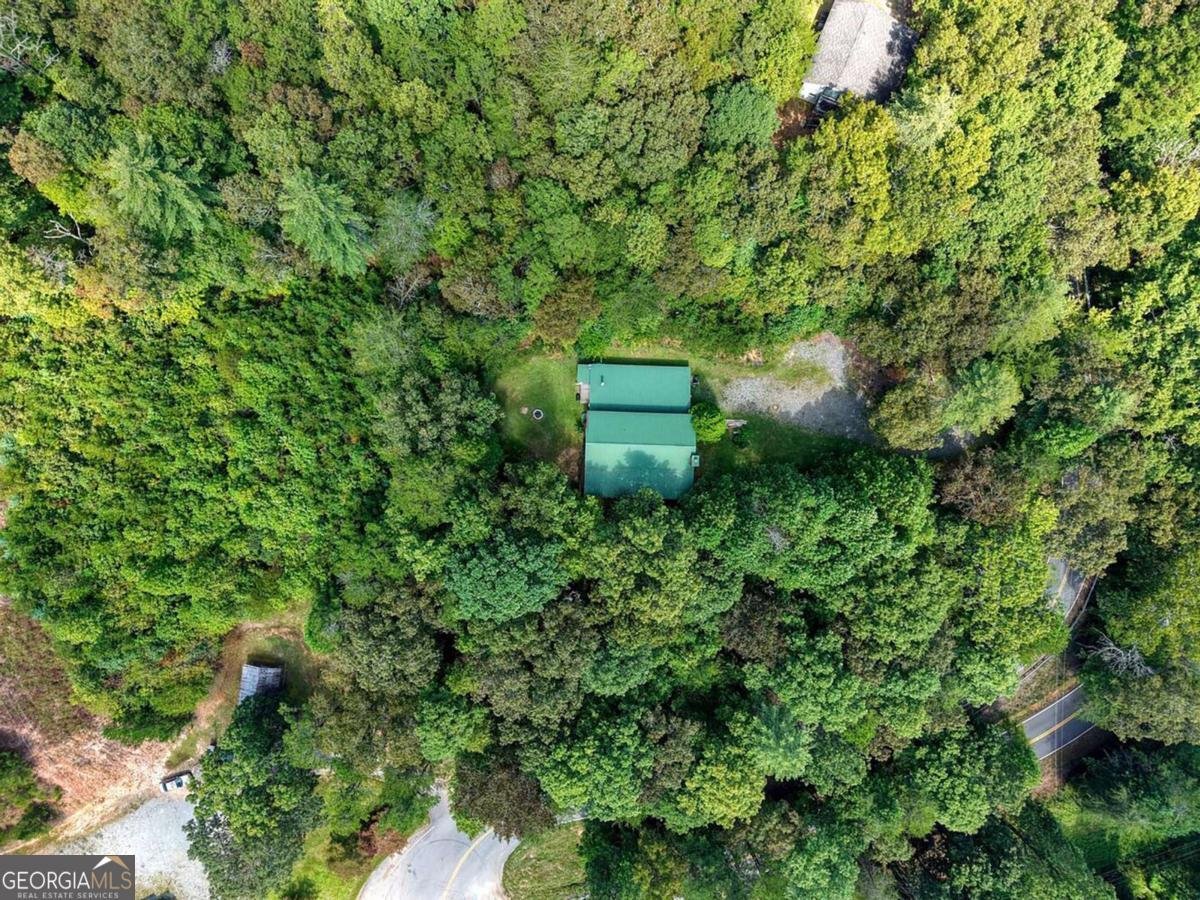 1200 Knollwood Road Mineral Bluff - 48