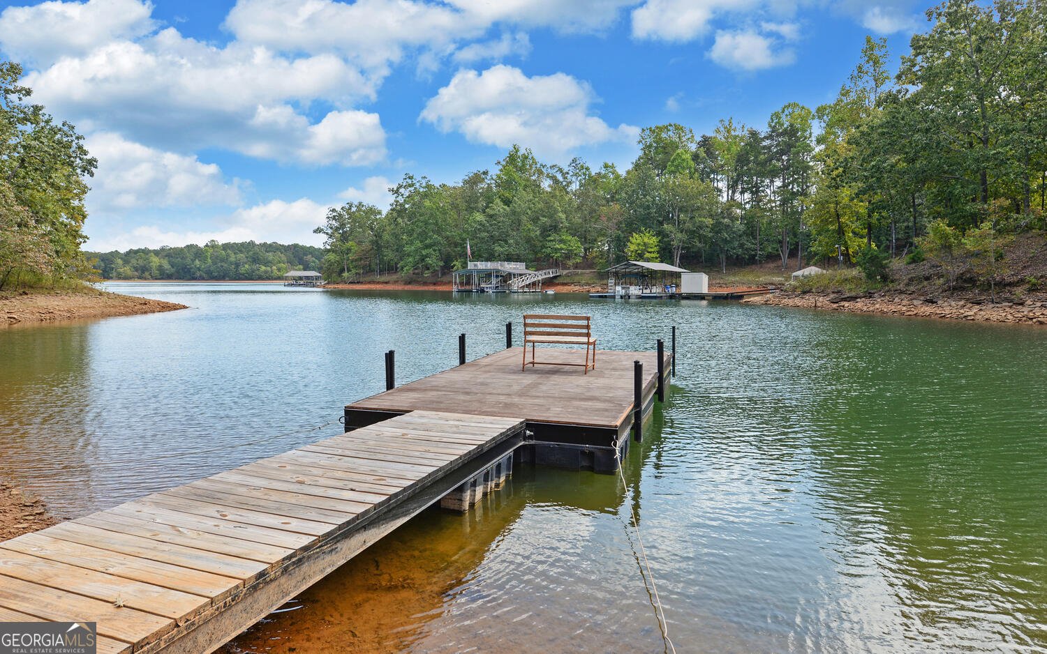 398 Hidden Point Hartwell - 44