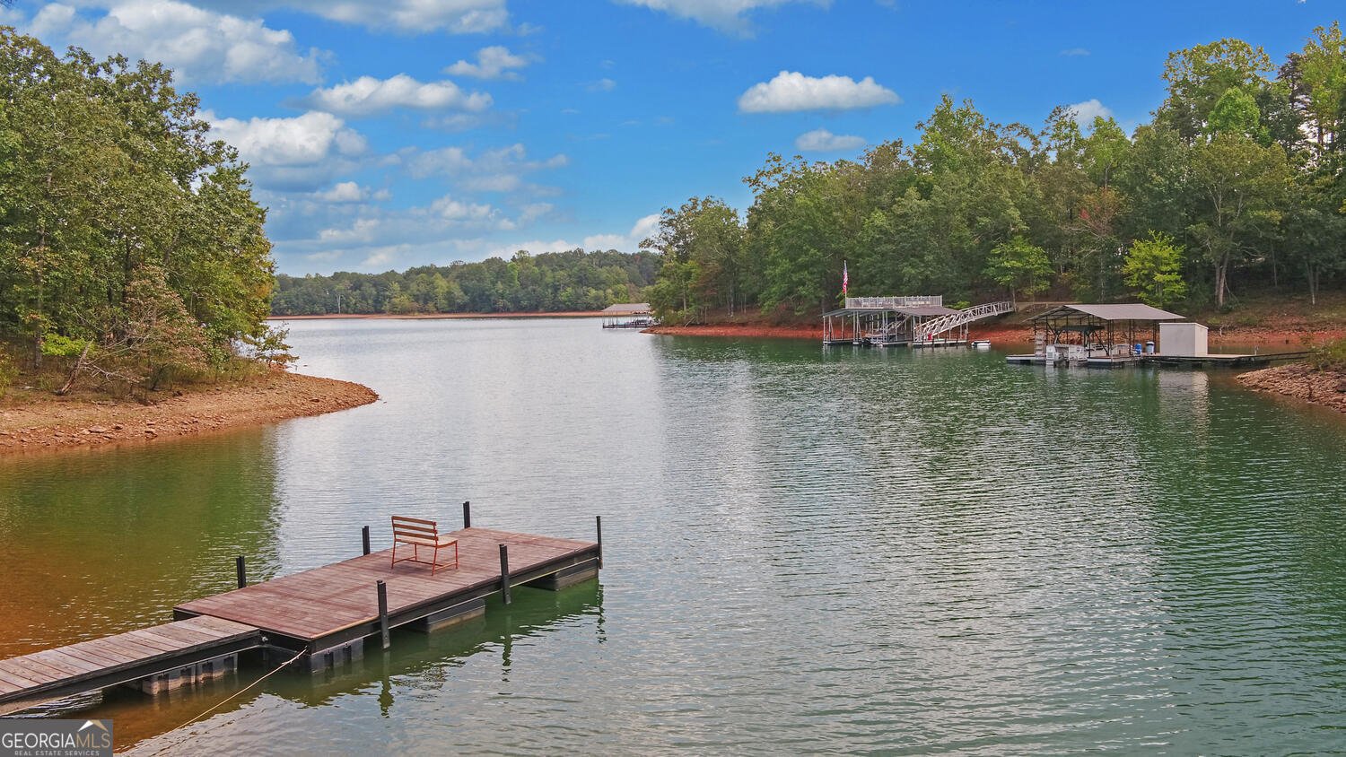 398 Hidden Point Hartwell - 51