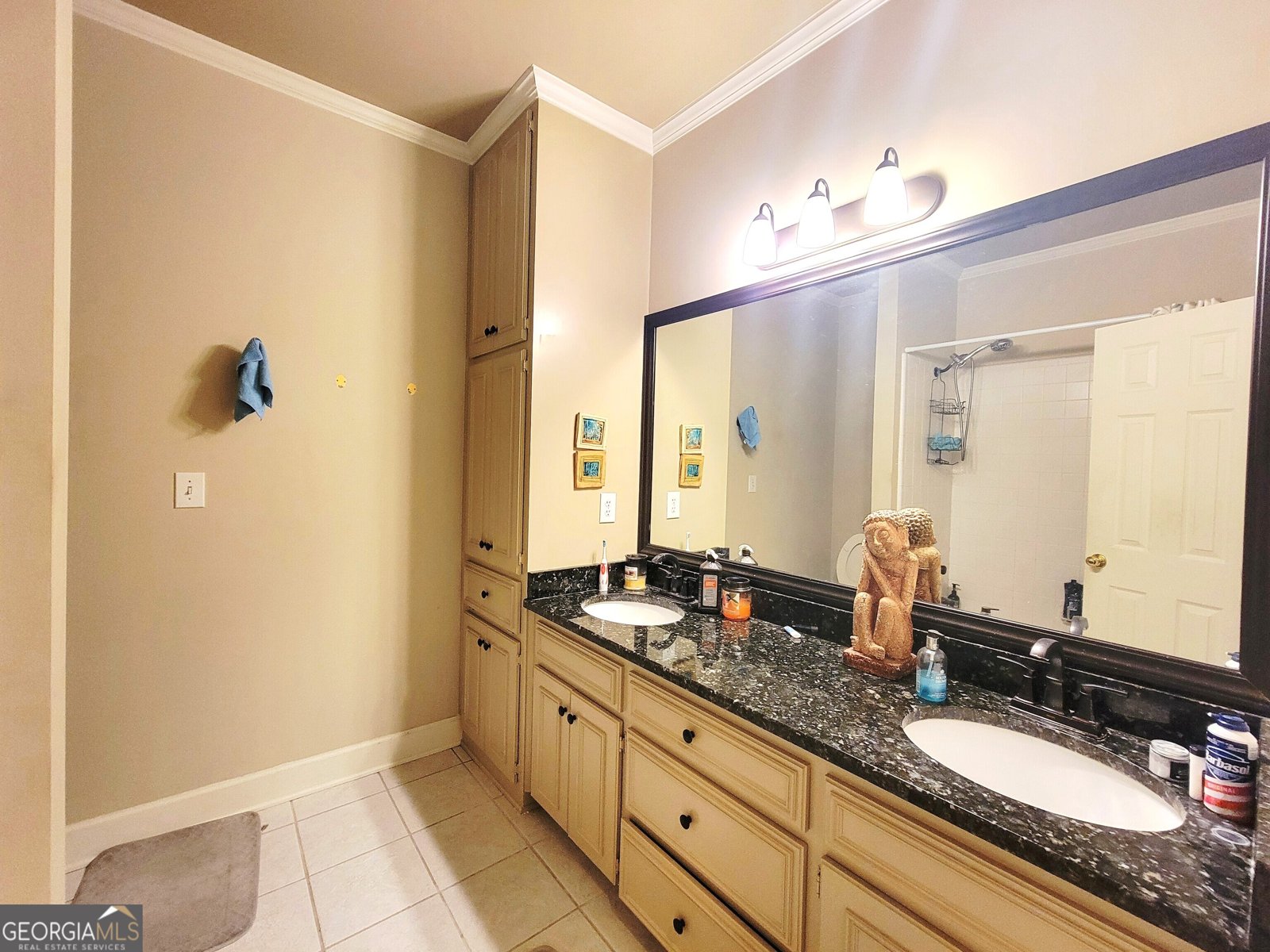 9831 Bent Brook Drive Montgomery - 19