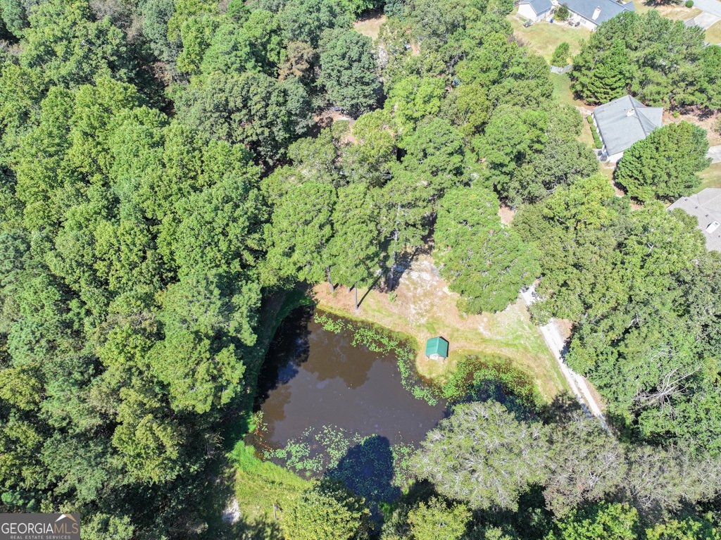 4107 Rosebud Road Loganville - 50