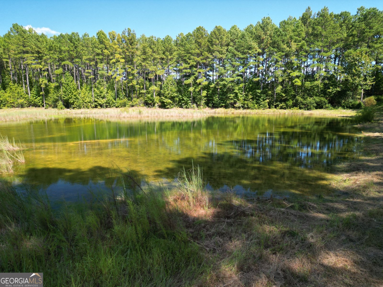 9800 Deepstep Road Sandersville - 69