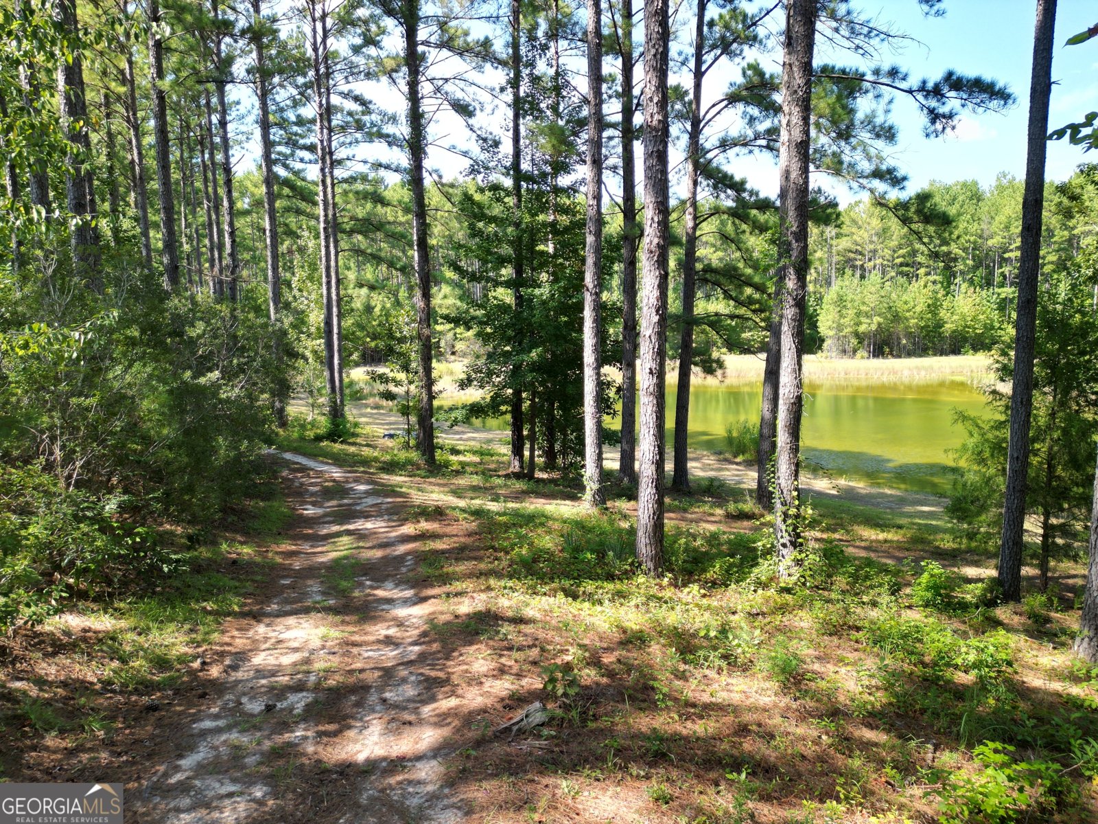 9800 Deepstep Road Sandersville - 71