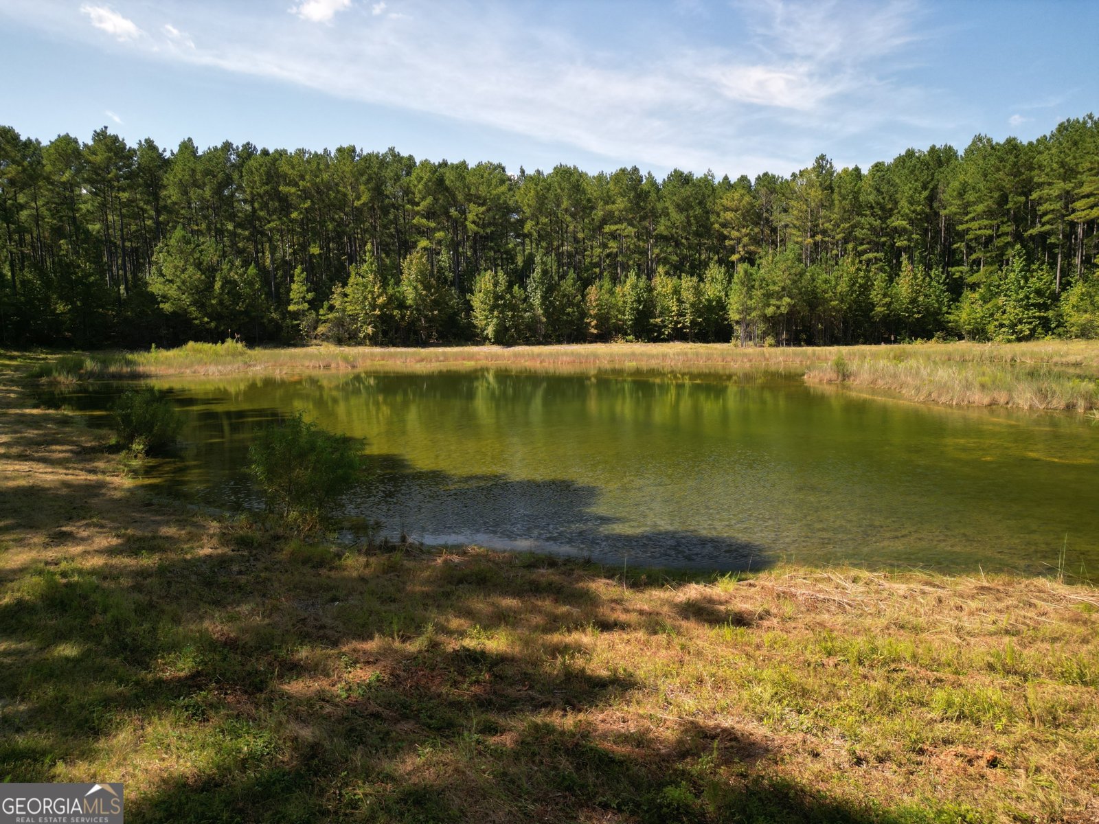 9800 Deepstep Road Sandersville - 72