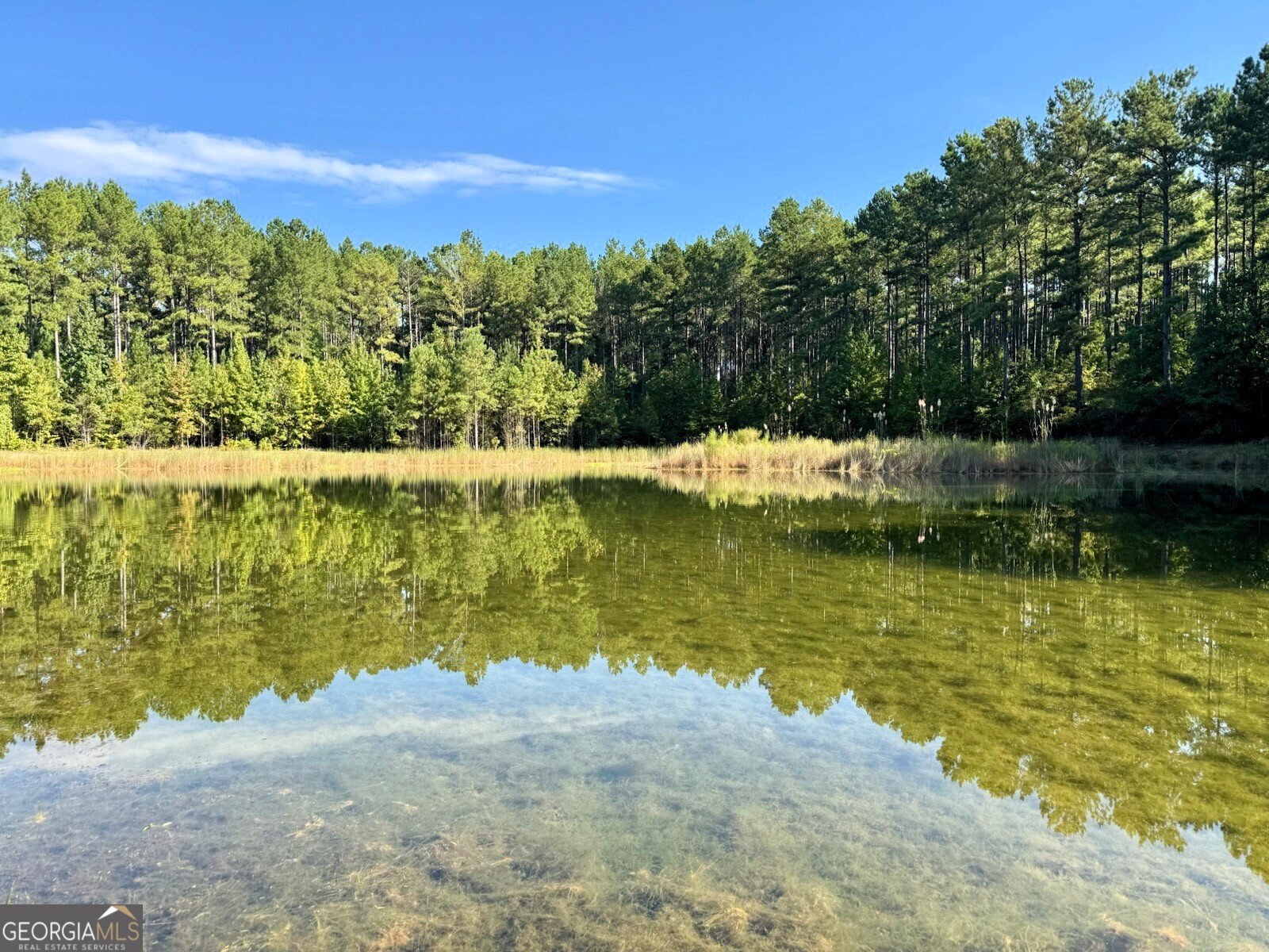 9800 Deepstep Road Sandersville - 74