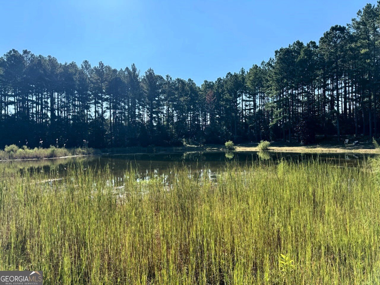 9800 Deepstep Road Sandersville - 75