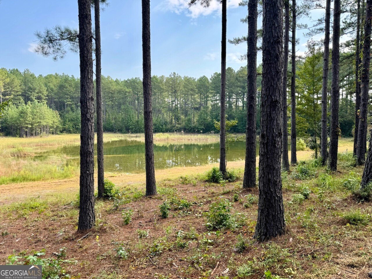 9800 Deepstep Road Sandersville - 76