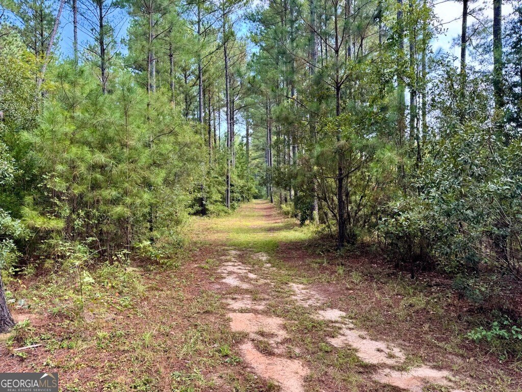 9800 Deepstep Road Sandersville - 77