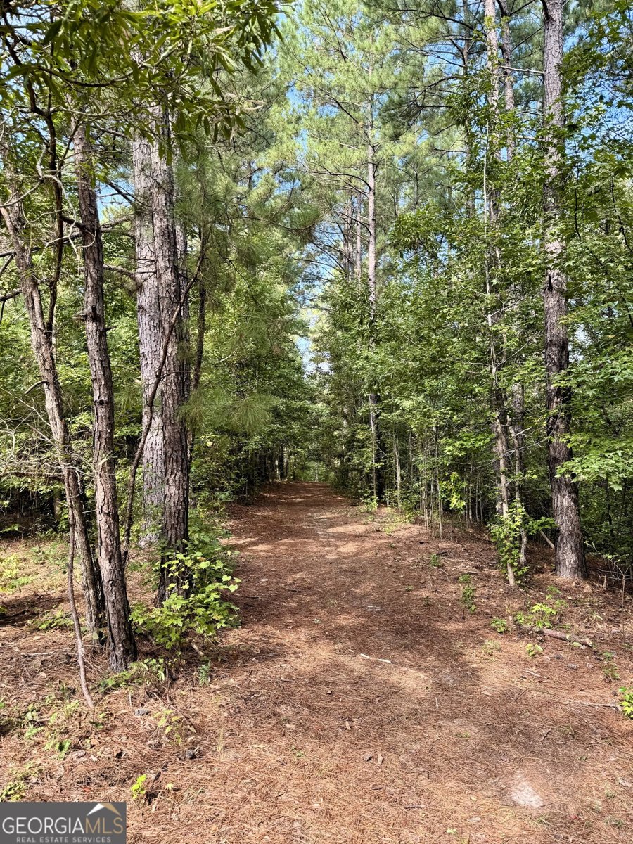 9800 Deepstep Road Sandersville - 78