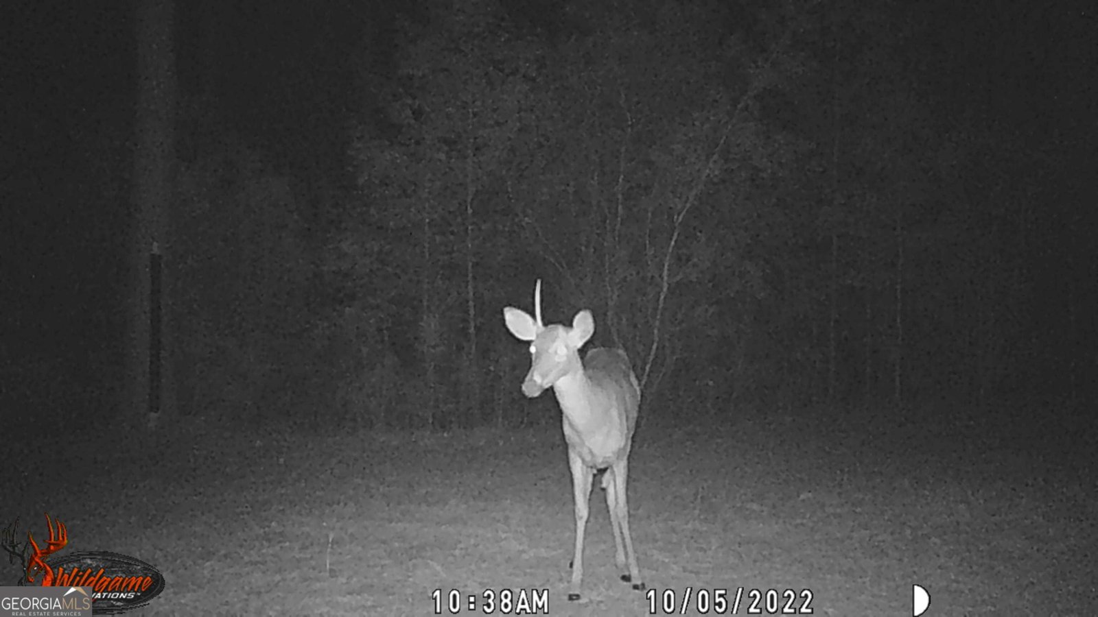 9800 Deepstep Road Sandersville - 79