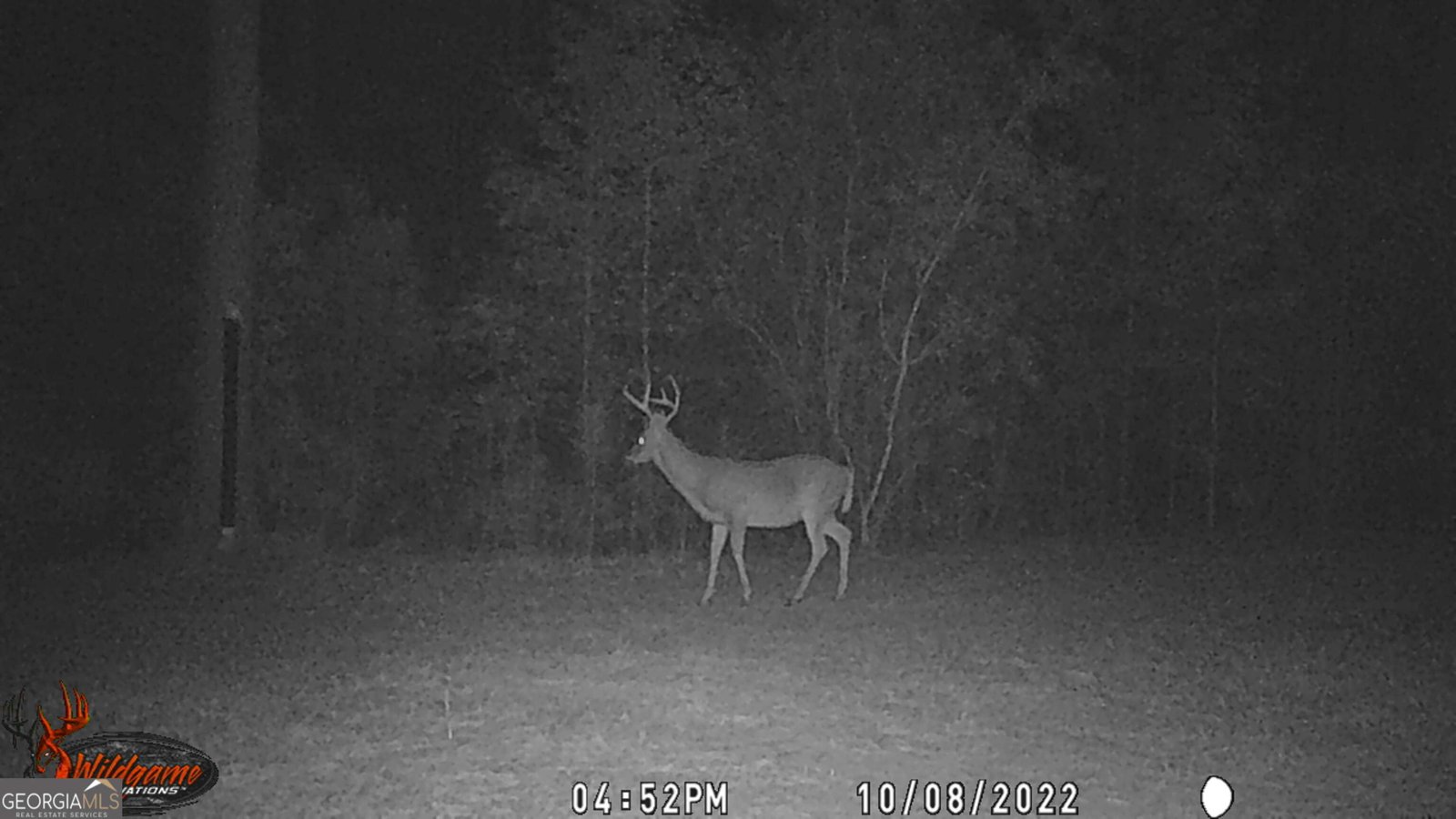 9800 Deepstep Road Sandersville - 80