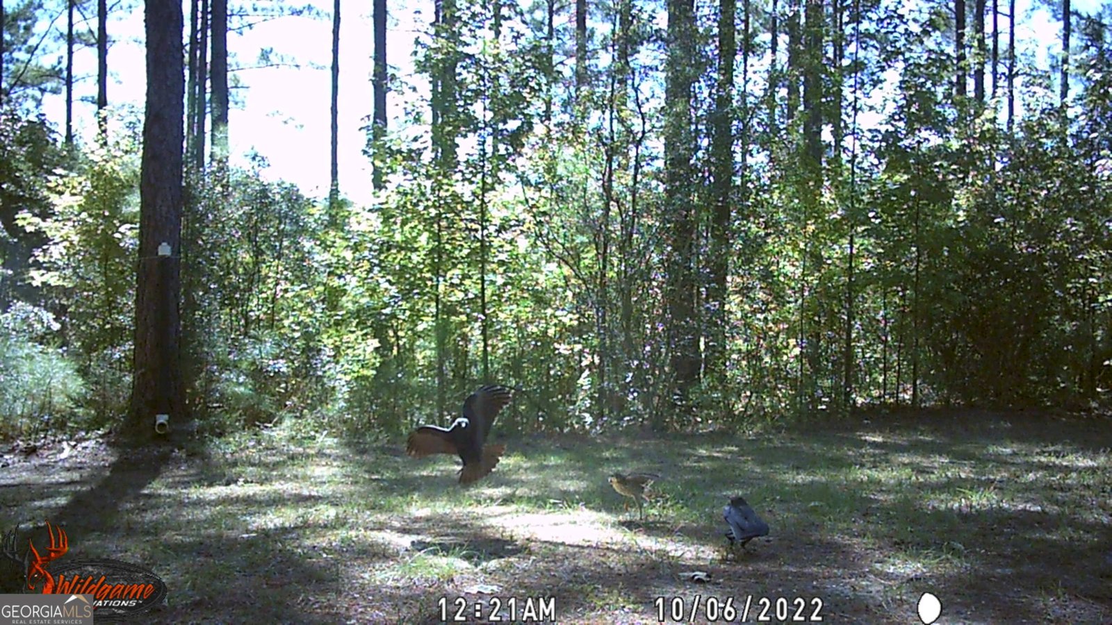 9800 Deepstep Road Sandersville - 81