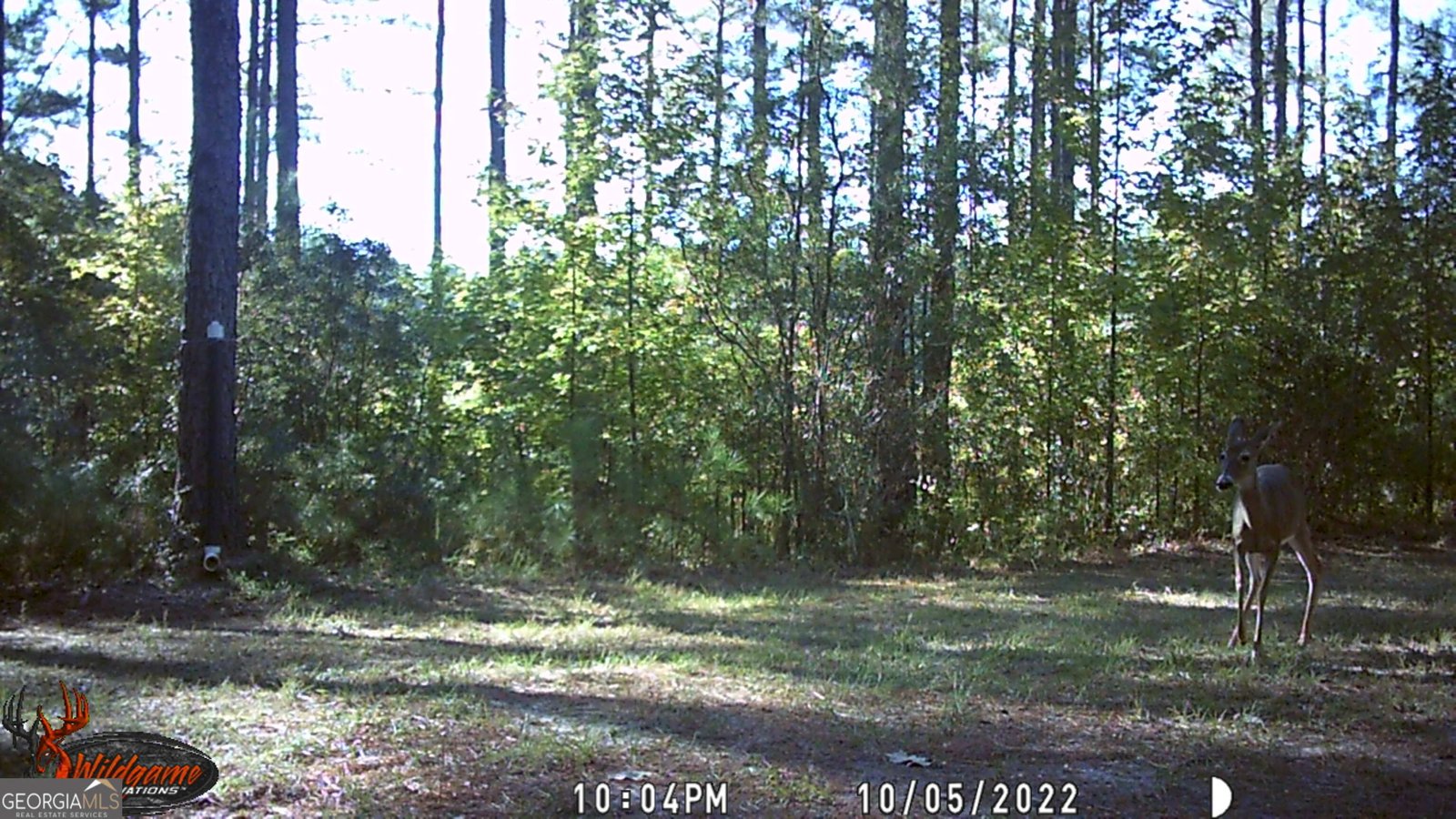 9800 Deepstep Road Sandersville - 82