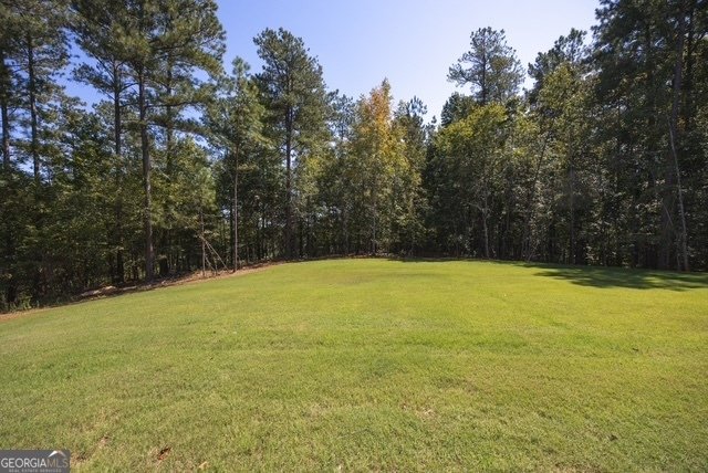 100 Piedmont Circle Forsyth - 25