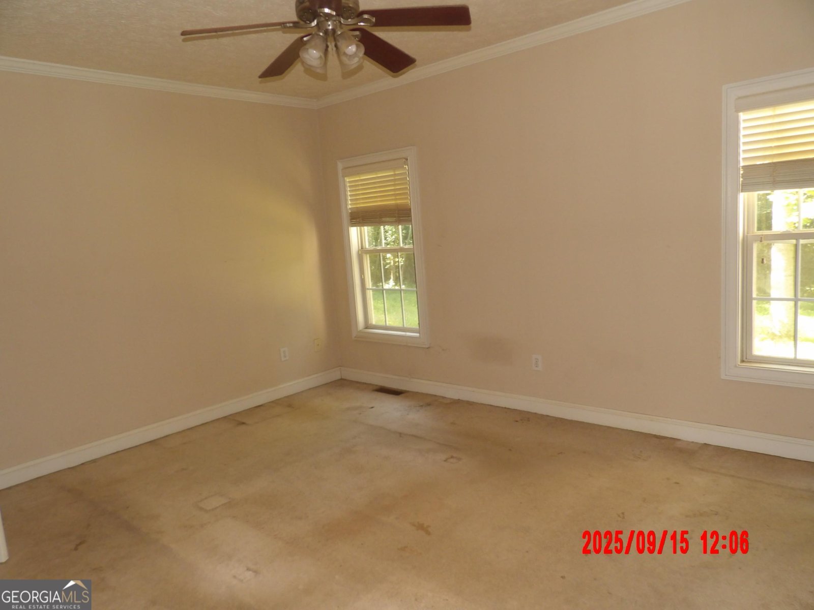 955 Camp Wahsega Road Dahlonega - 13