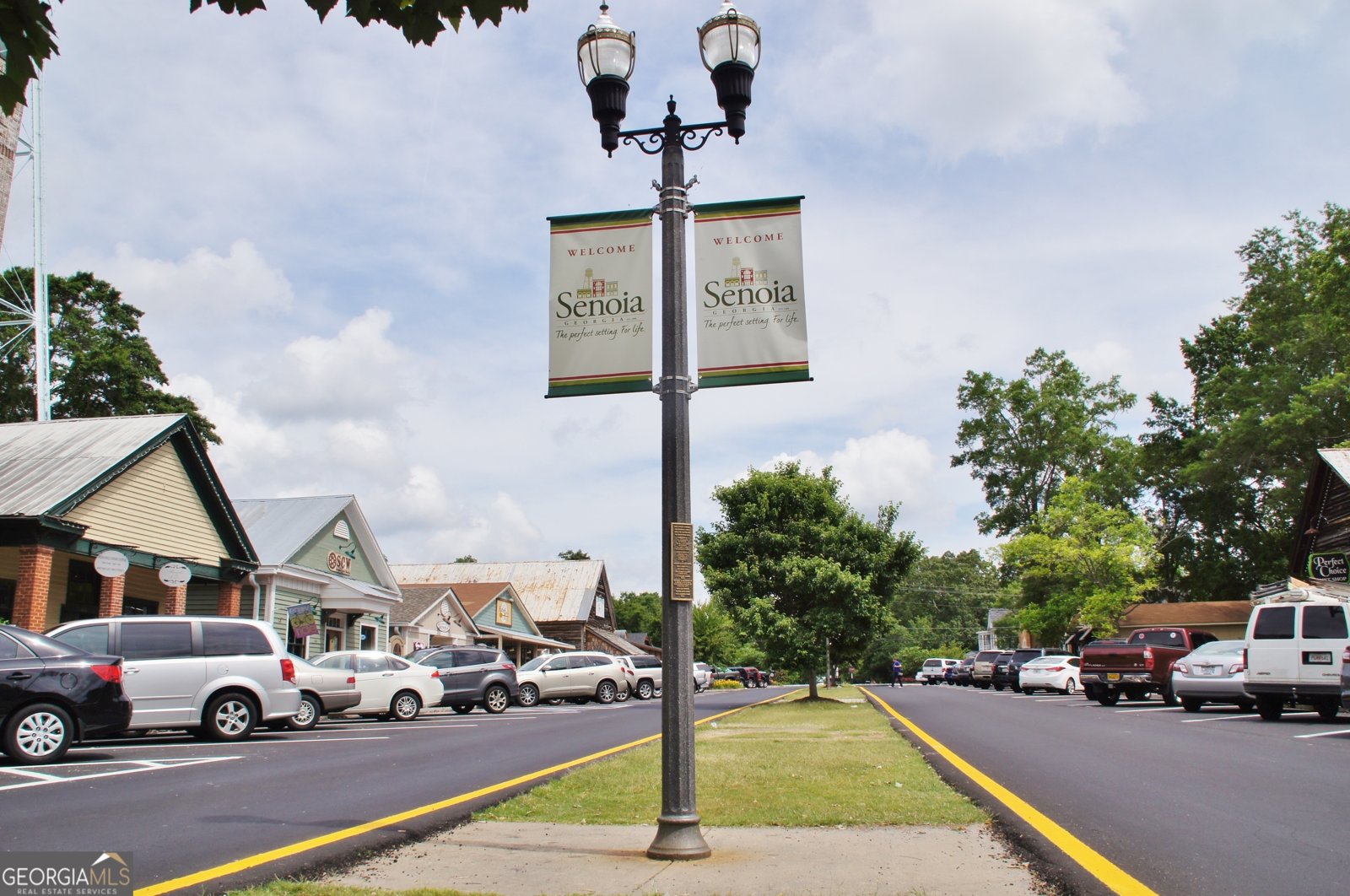 84 Magnolia Place Way Senoia - 62