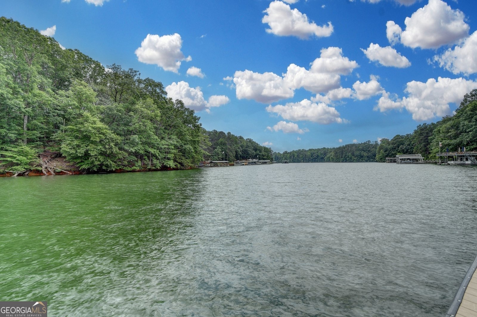 8305 Beryl Overlook Gainesville - 41